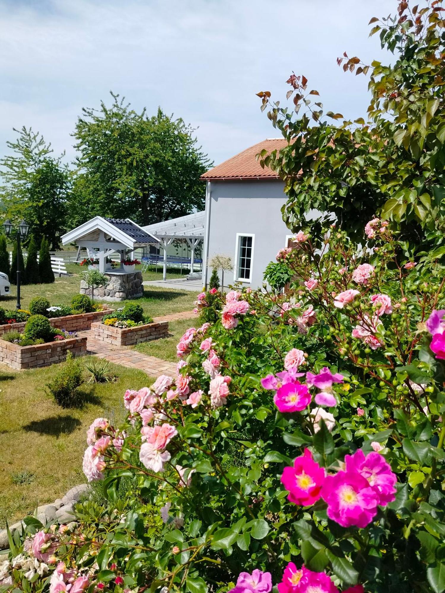 Agroturystyka Rybno Rybno  エクステリア 写真